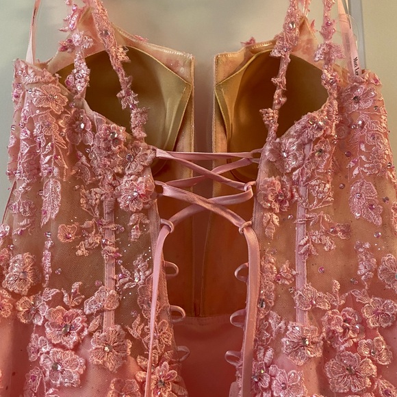 Gorgeous Pink MoriLee Corset Prom Dress - Picture 13 of 14
